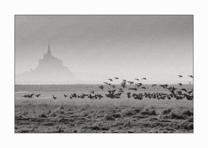 Mont St Michel NB